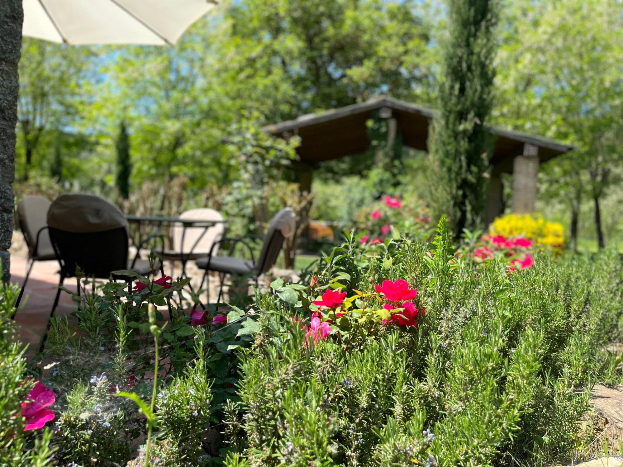 Mulino In Chianti Apartment Gaiole in Chianti Exterior foto